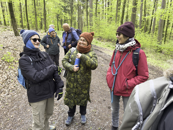 Frühjahrswanderung im Spessart