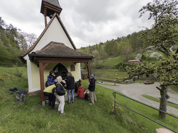 Frühjahrswanderung im Spessart